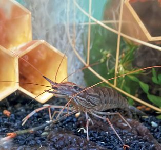  Опциональный модуль AQUA-BOX – портал поставщиков НСППО - 3